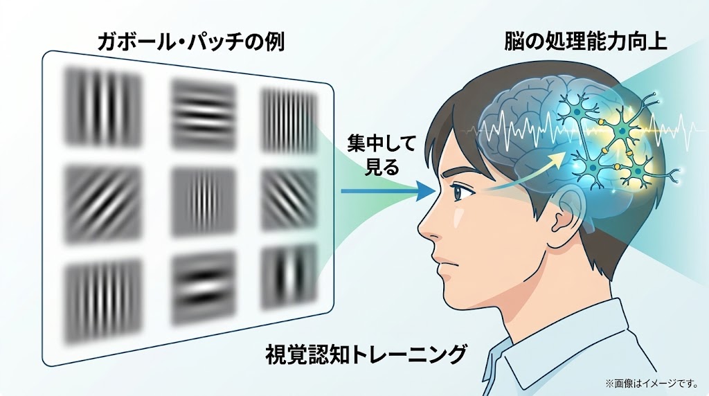 視力回復の方法とは？自力ケアの限界と視力矯正治療の選び方